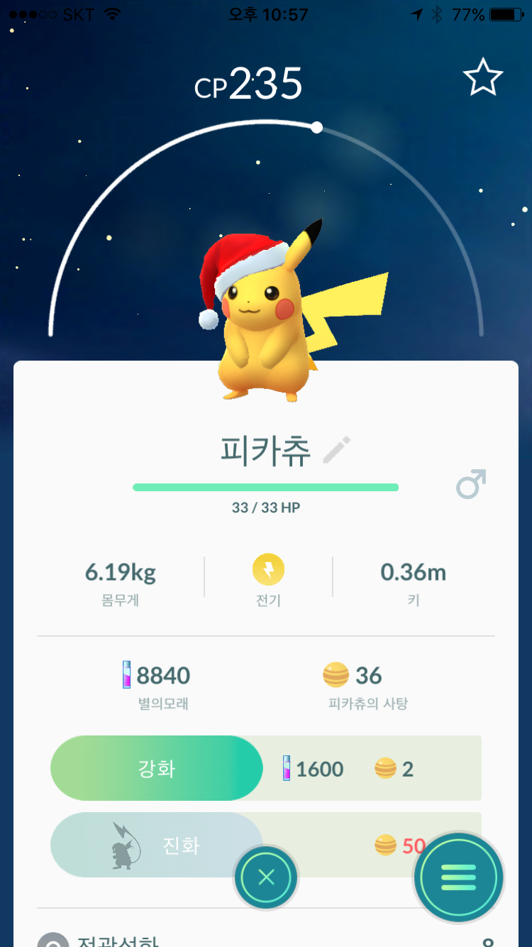 산타피카츄.png
