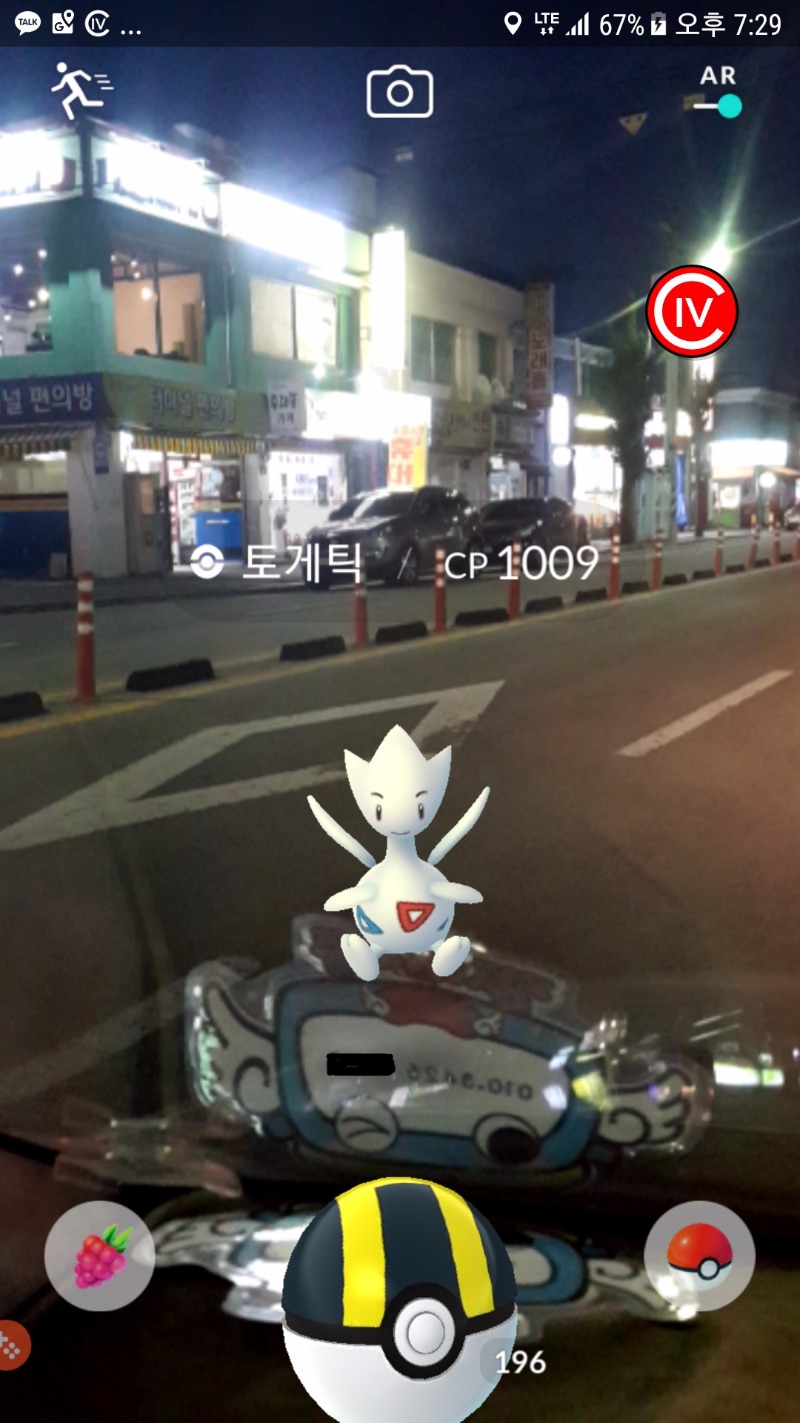 토게틱.jpg