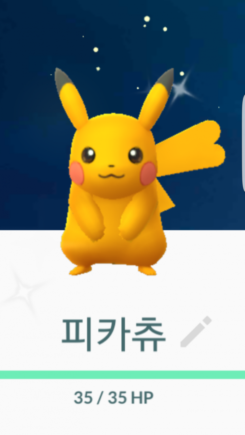 피카츄 / 탄카츄