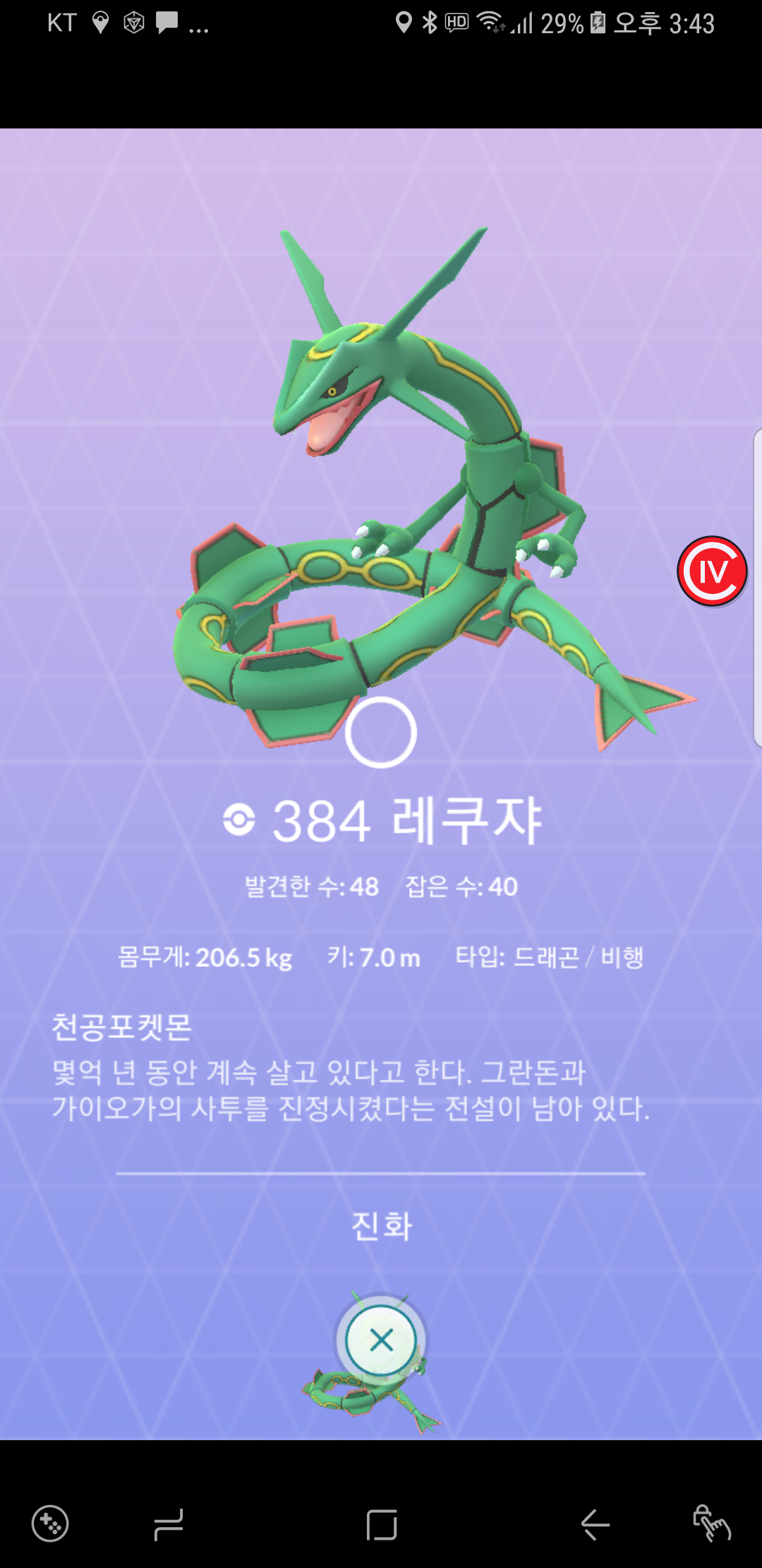 레쿠자 포획률