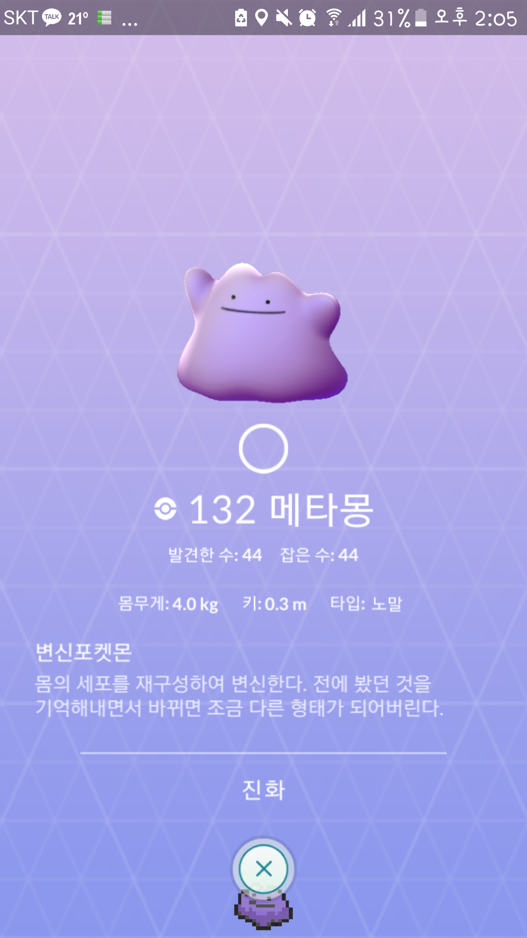 메타몽 팁