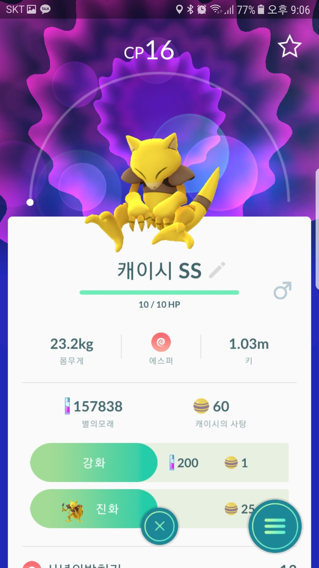 케이시