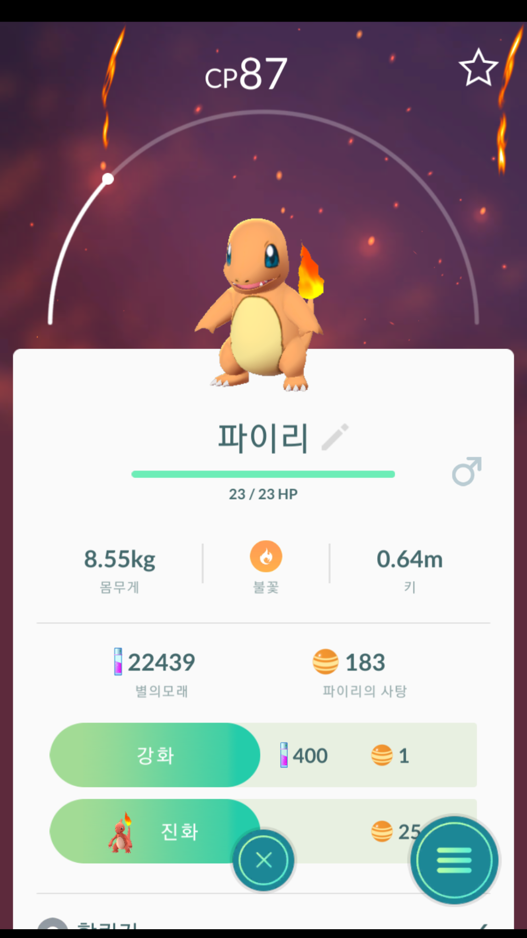 파이리둥지