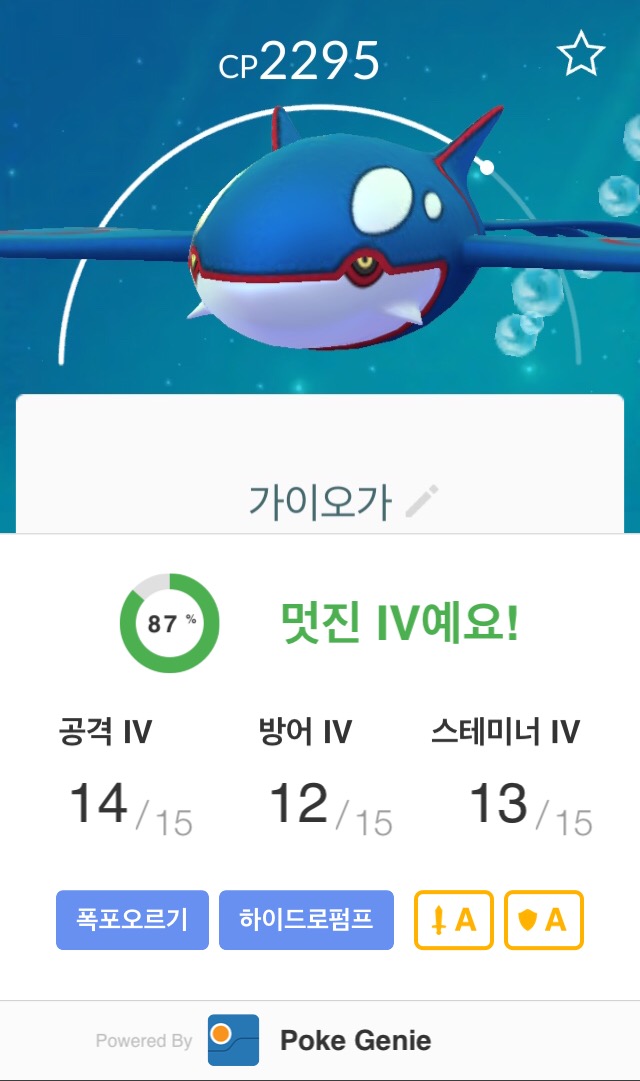 가이오가 첫대면 후기......