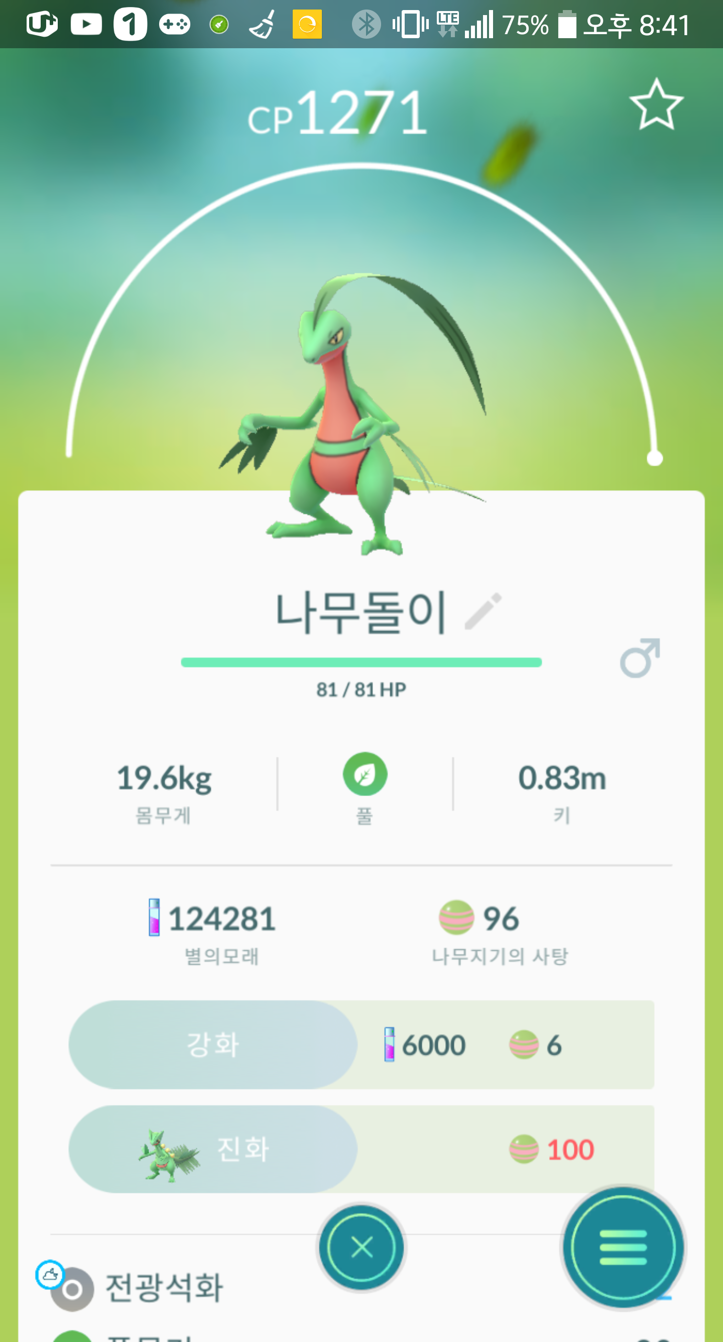 나무돌이