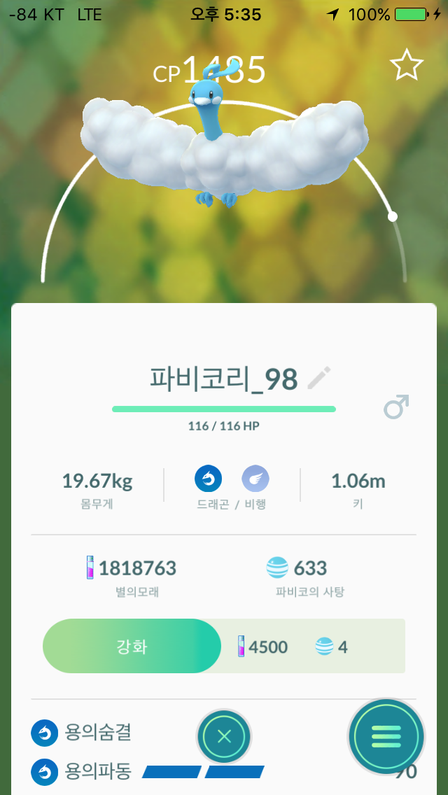 의문의 드래곤......
