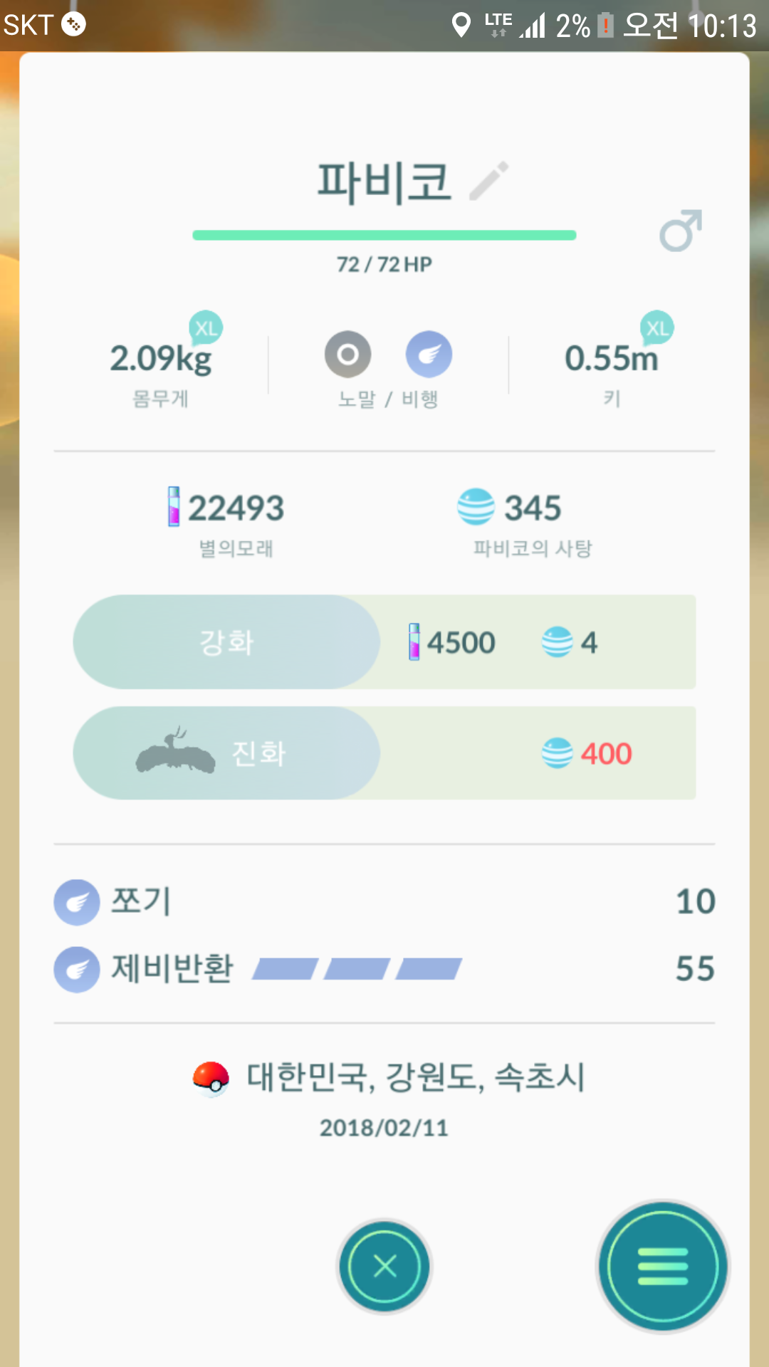 파비코 사탕보소