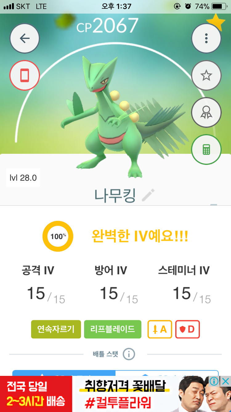 나무지기
