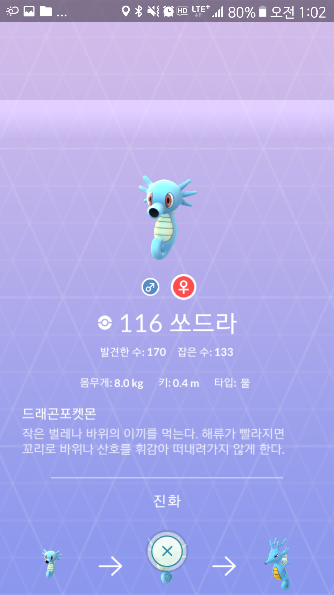 드래곤포켓몬...??!