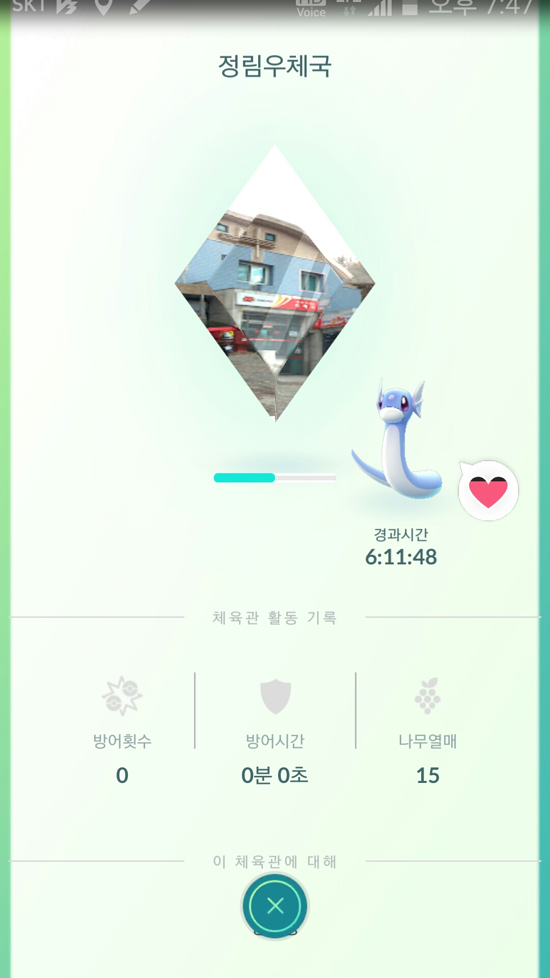 씩씩한 미뇽 체육관에서 잘버티고 있네요