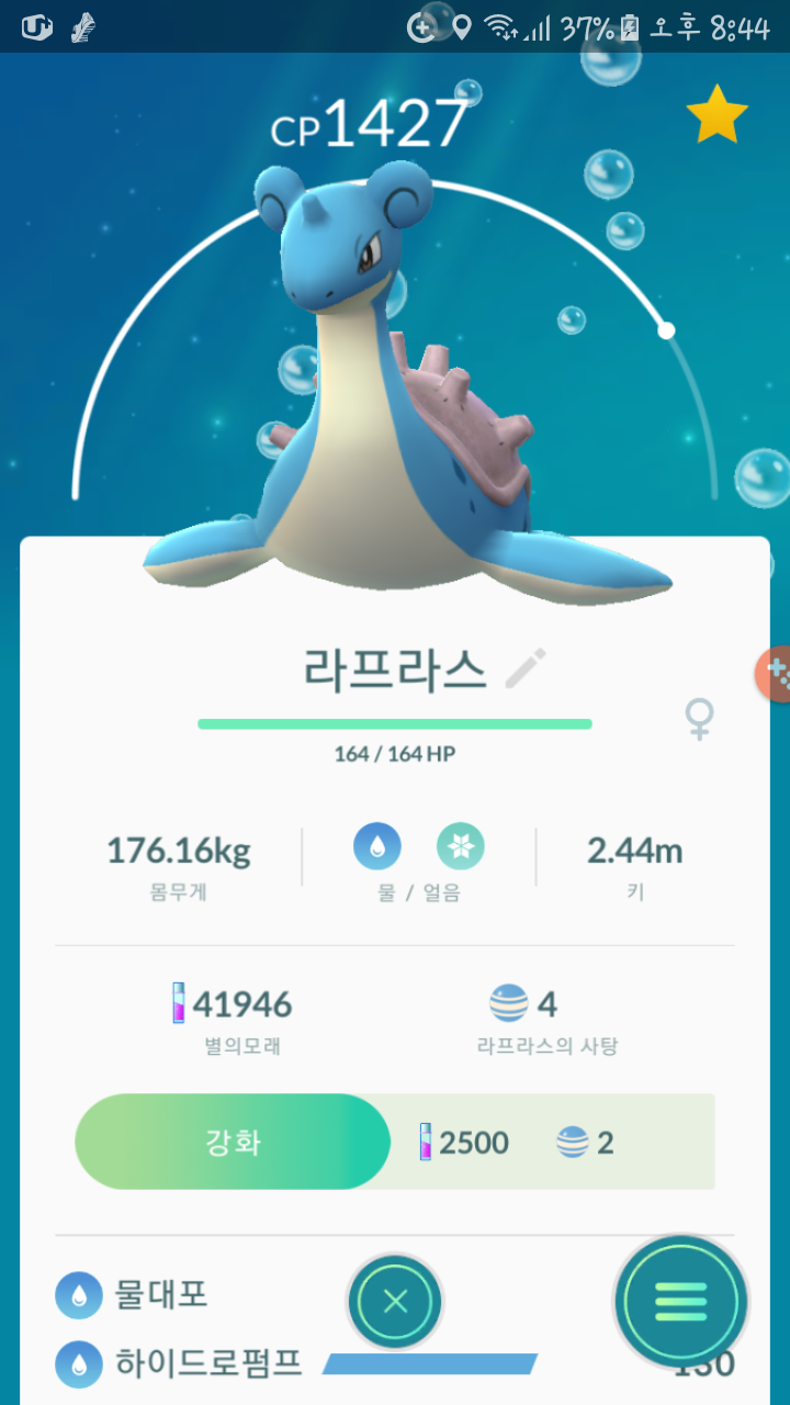 라프라스 좋아요?