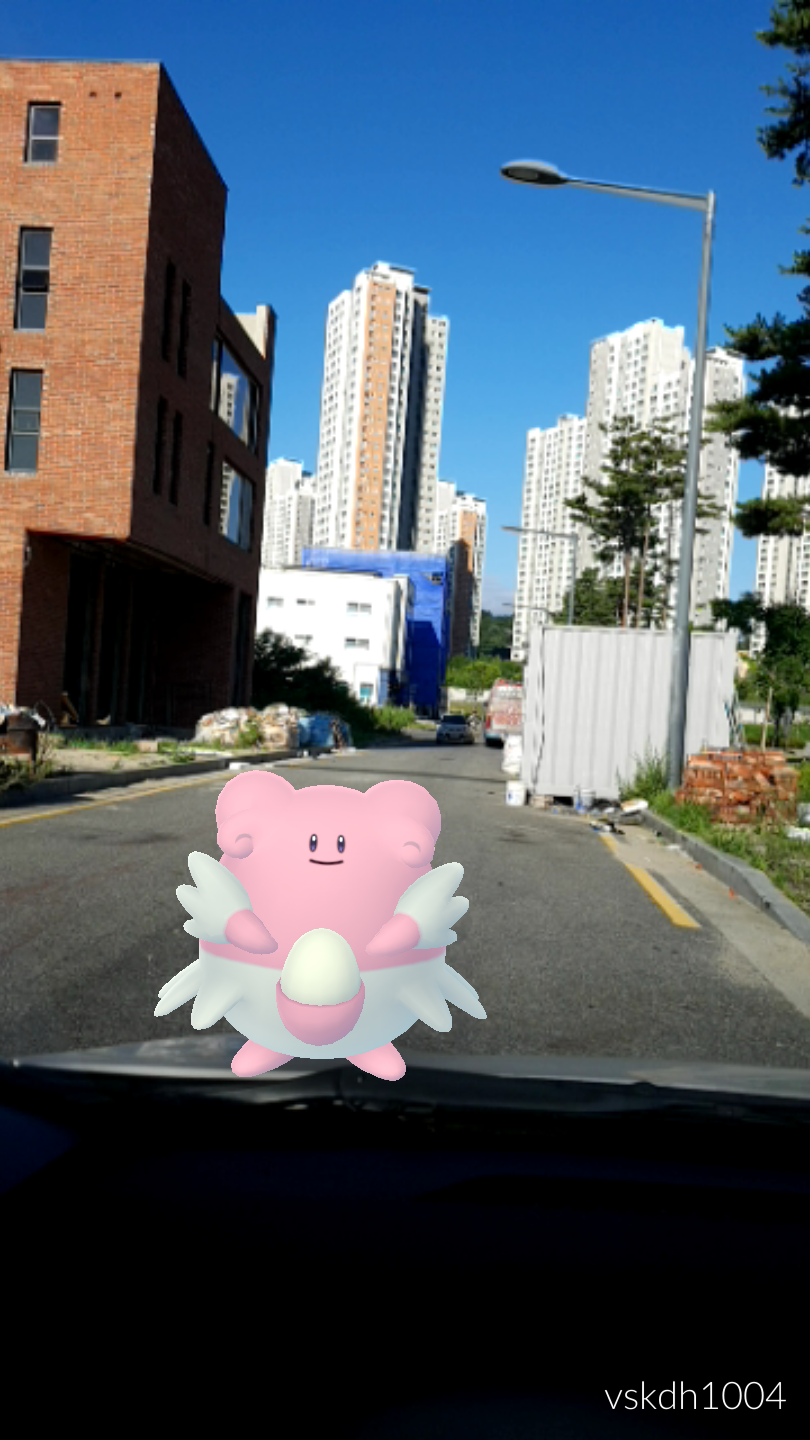 Cp2200대 해피너스 포획실패