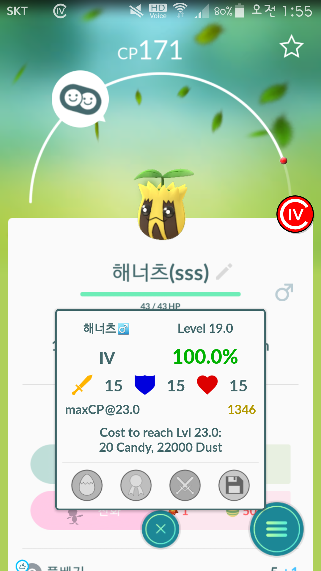 첫 100퍼