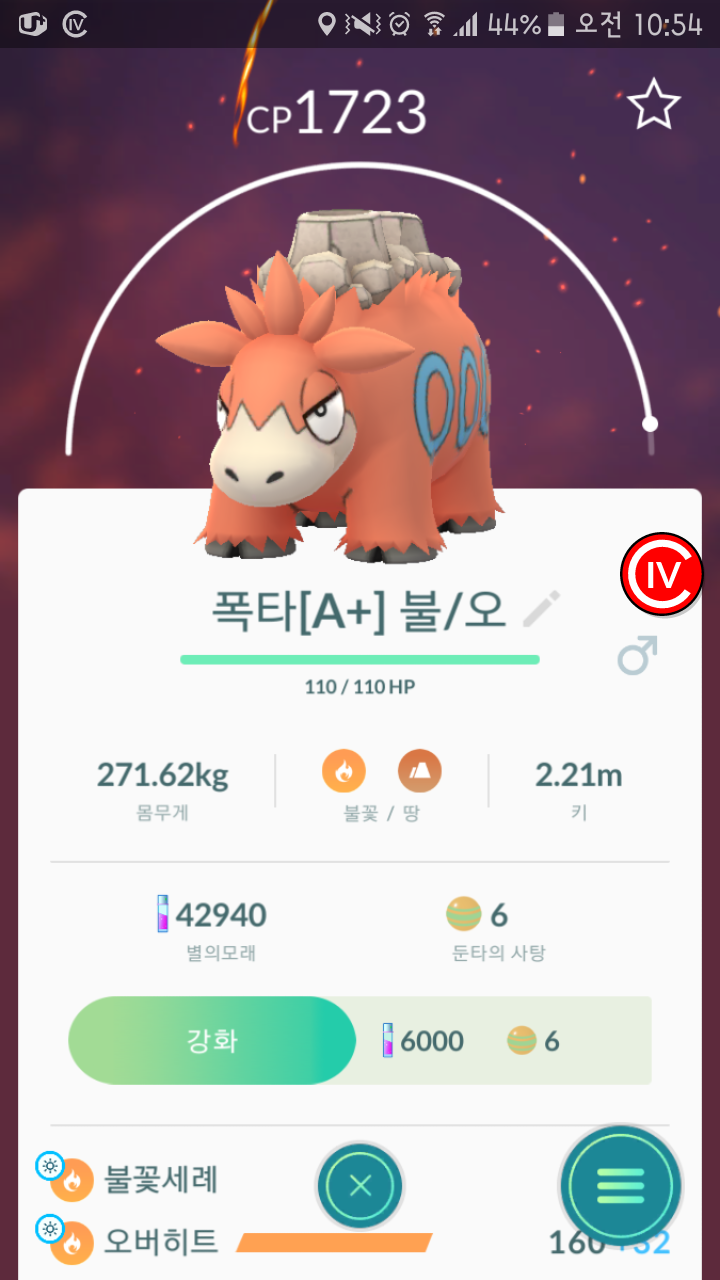 오늘 2번째 뉴도감