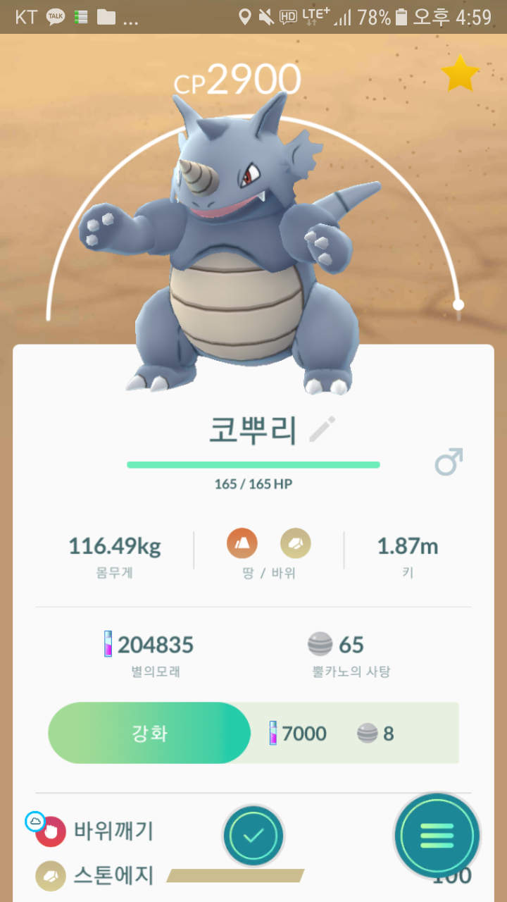 코뿌리!