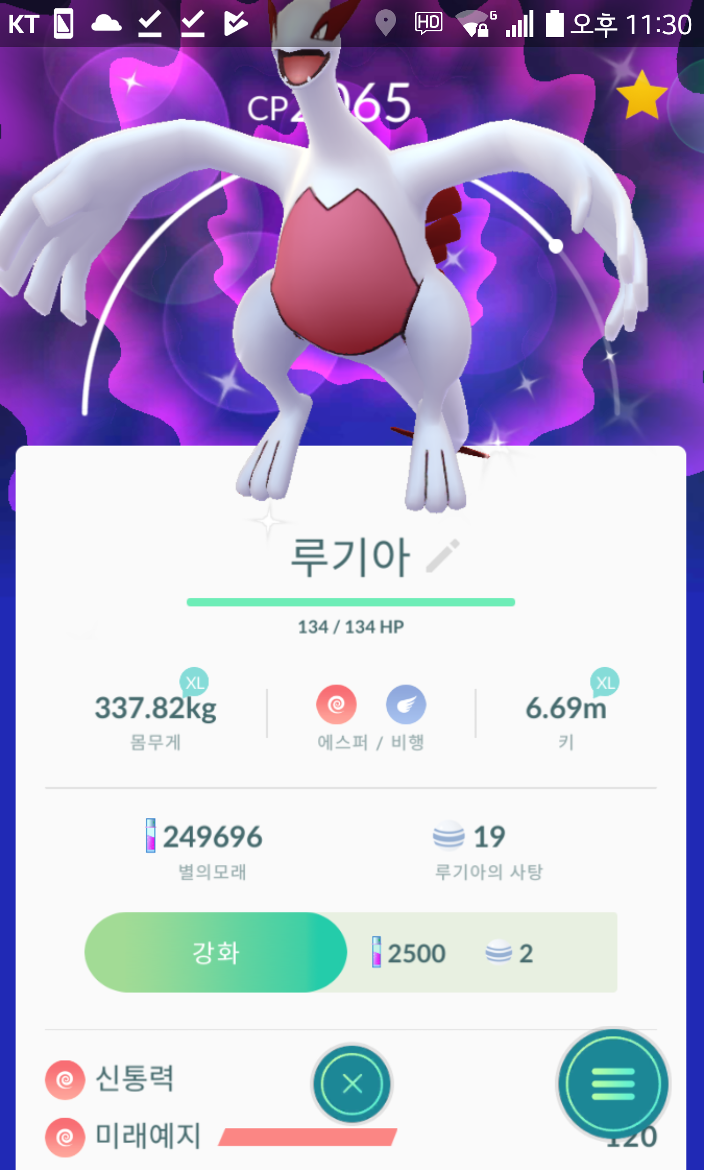 색이다른루기아