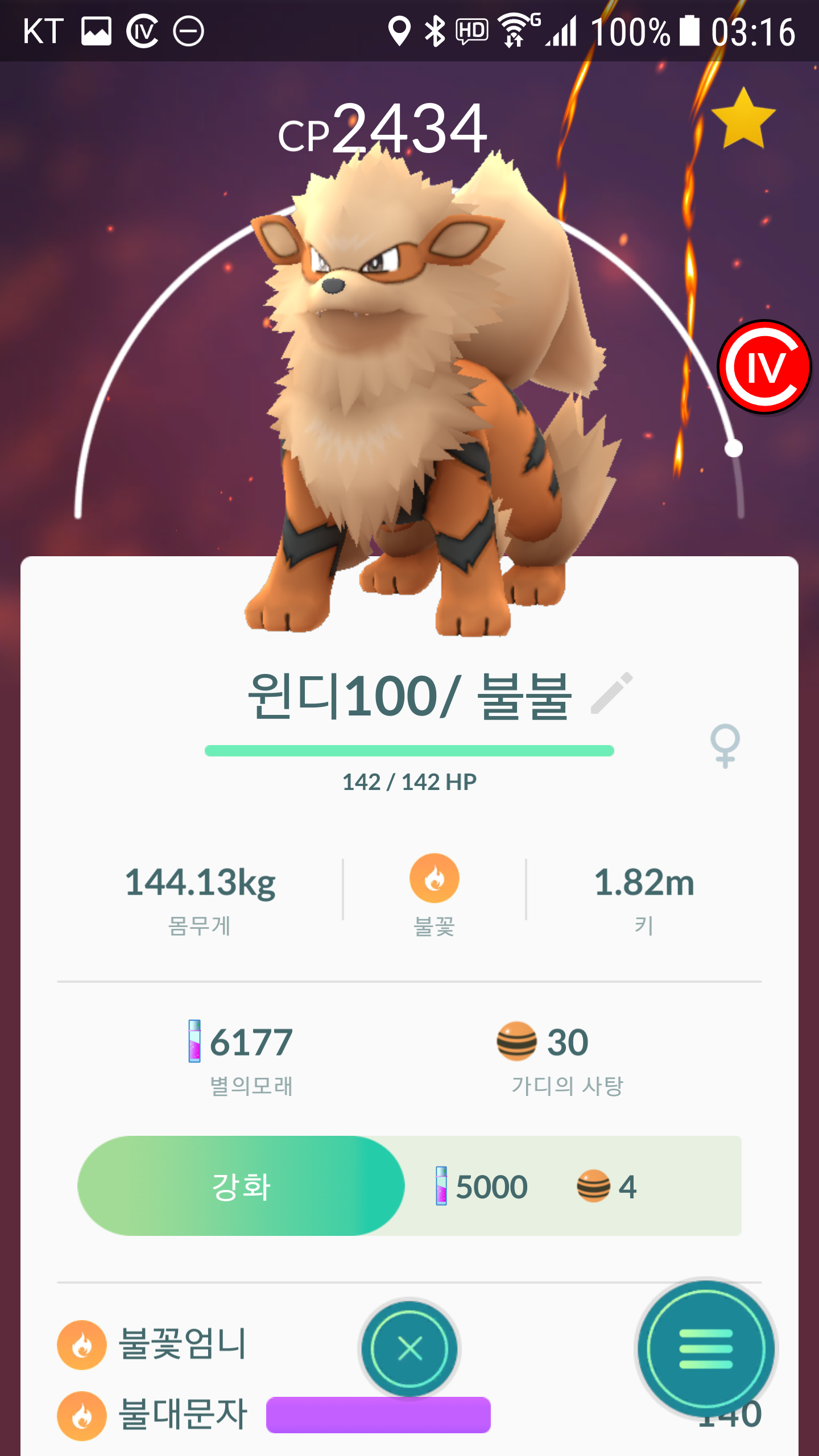 윈디