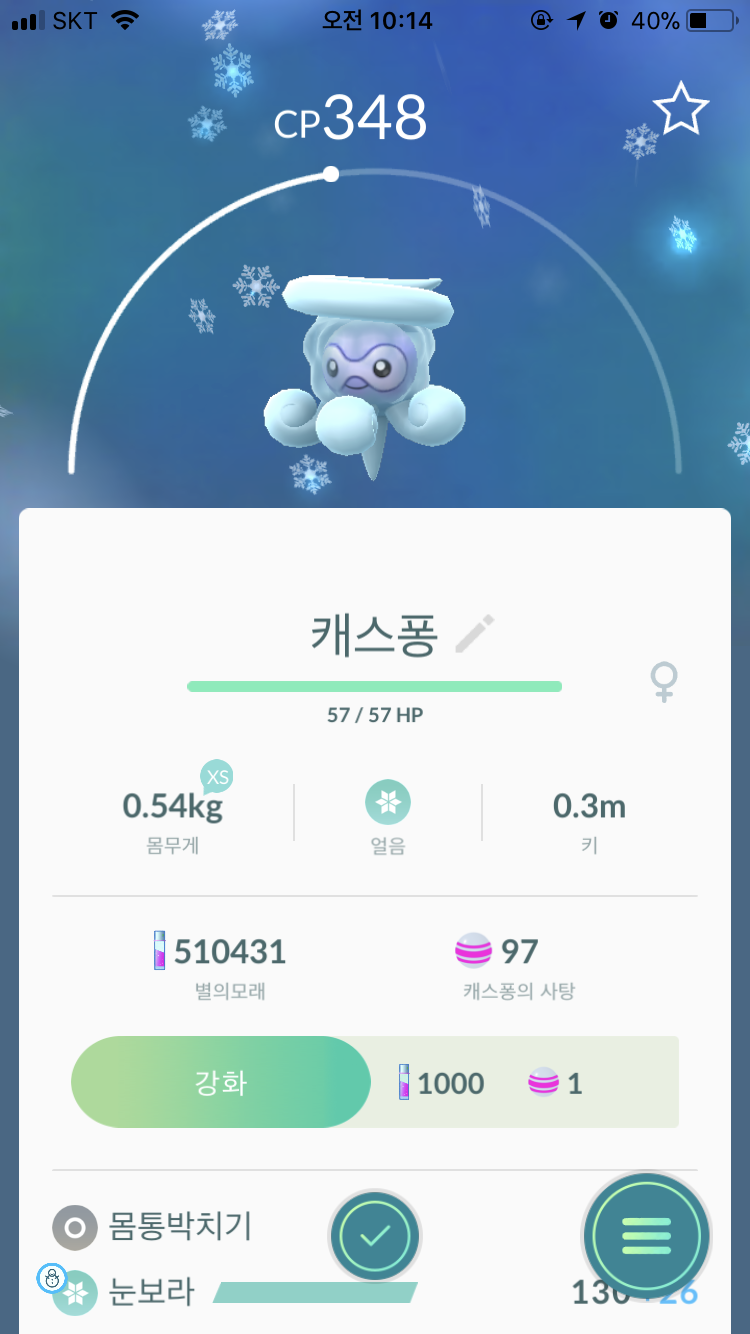 날씨에 바뀐 캐스퐁 드뎌 잡았어요~