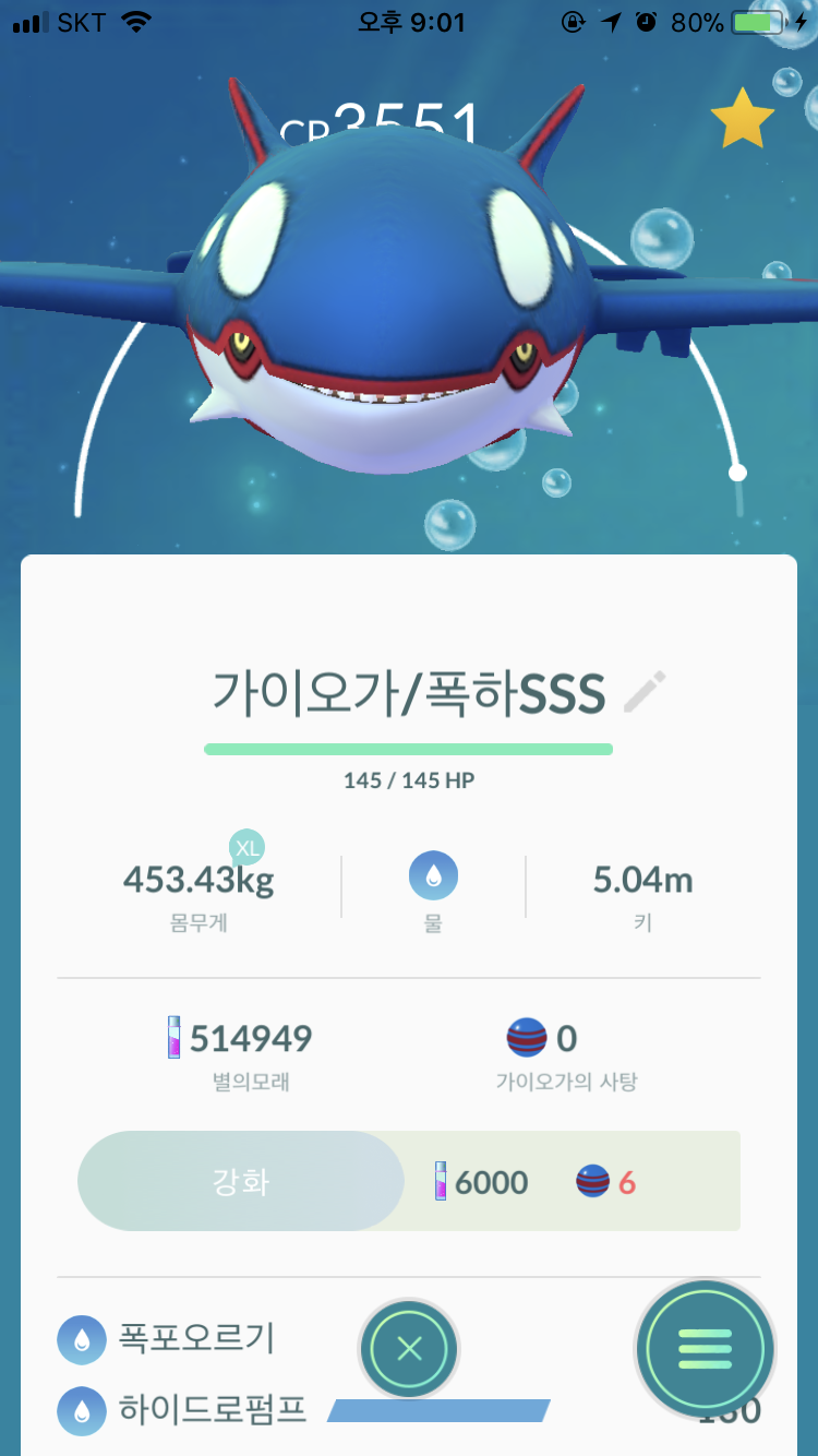 찻 가이오가는 100%
