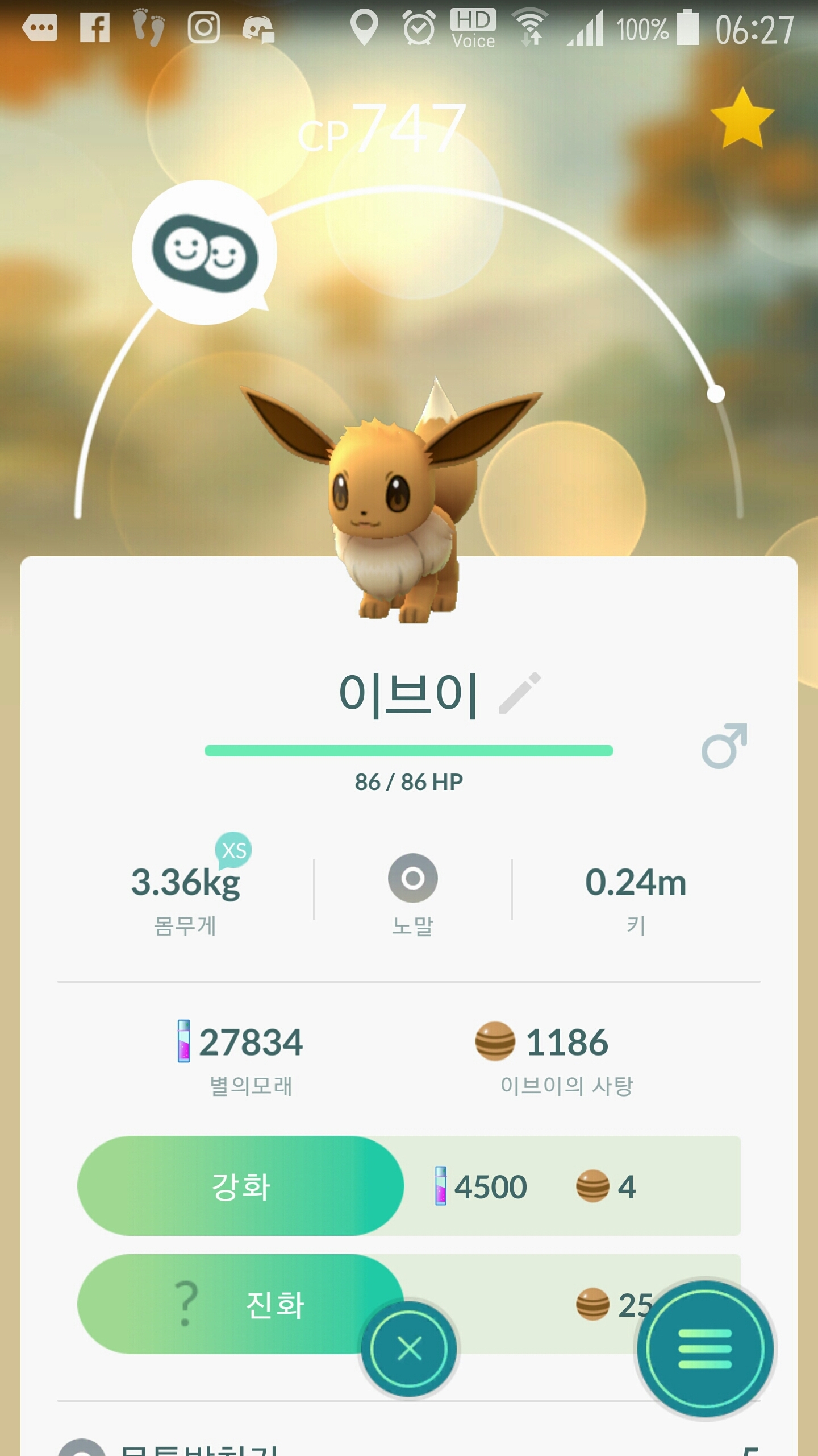백퍼 이브이