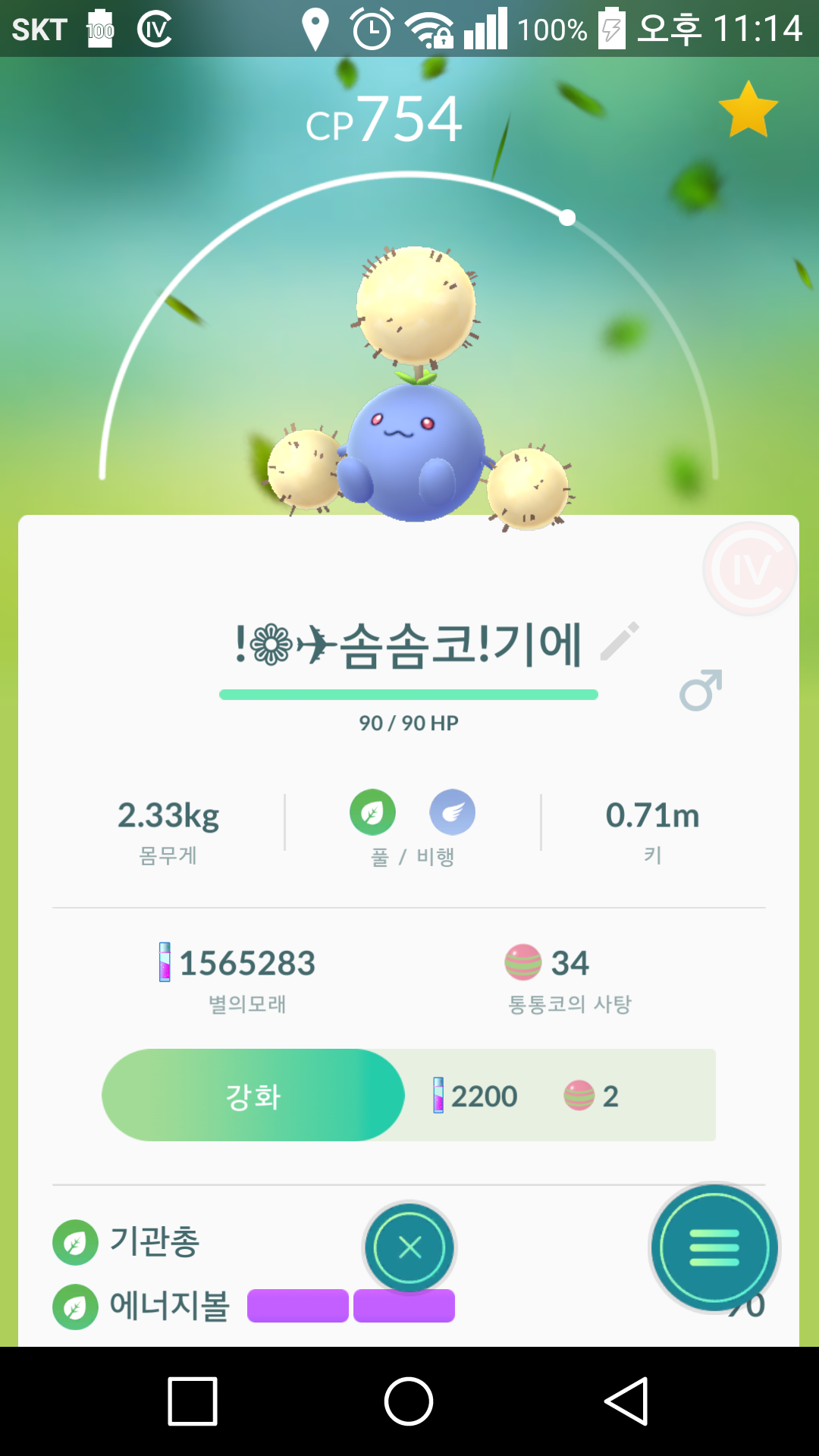 100% 귀요미