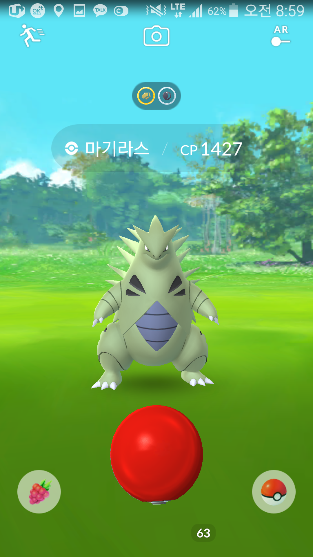 야생마기