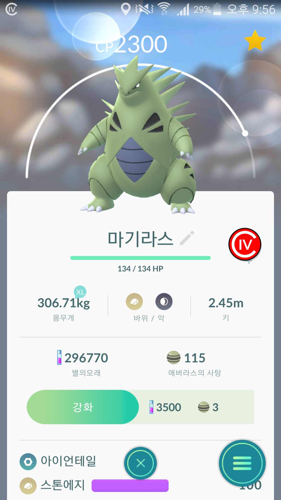 일산 야생 마기라스