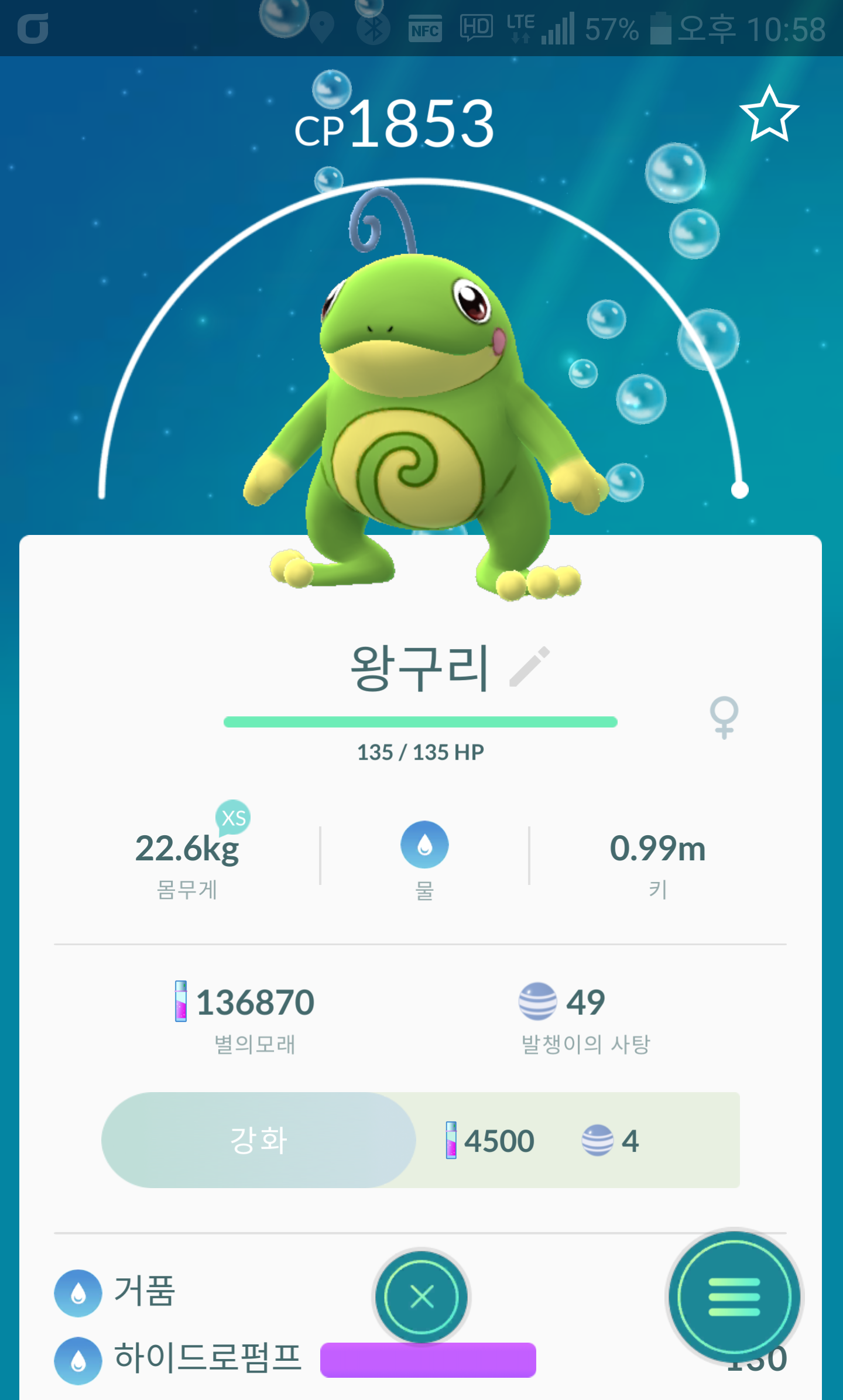왕구리