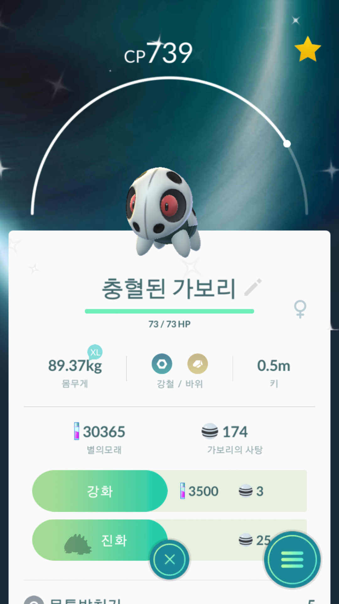 이로치 가보리