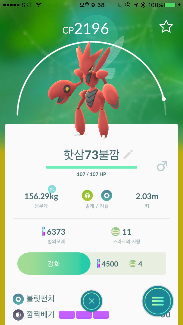 빨간맛