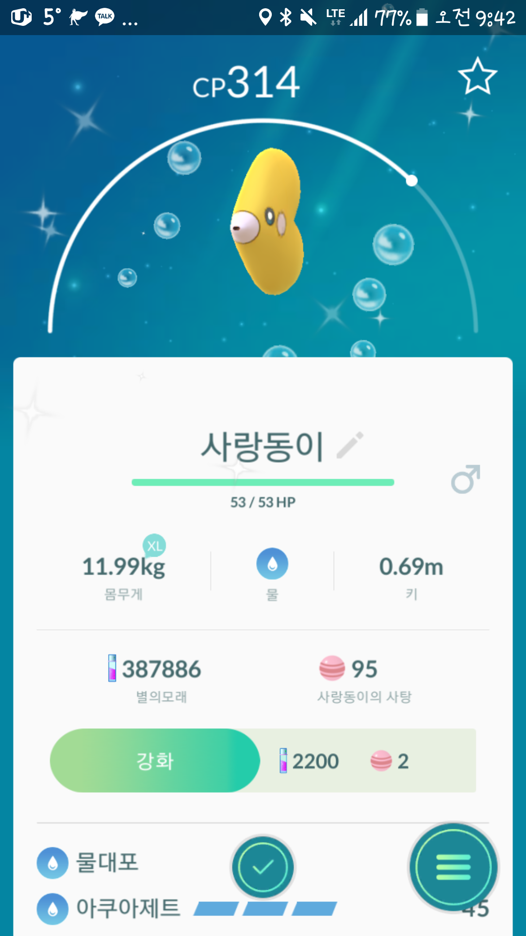 저도 사랑동이 이로치