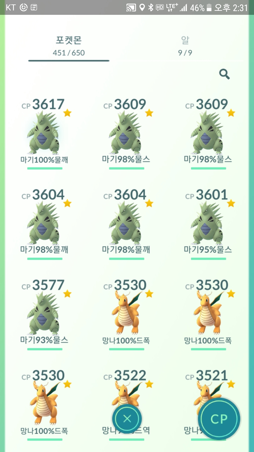 첫 백마기.