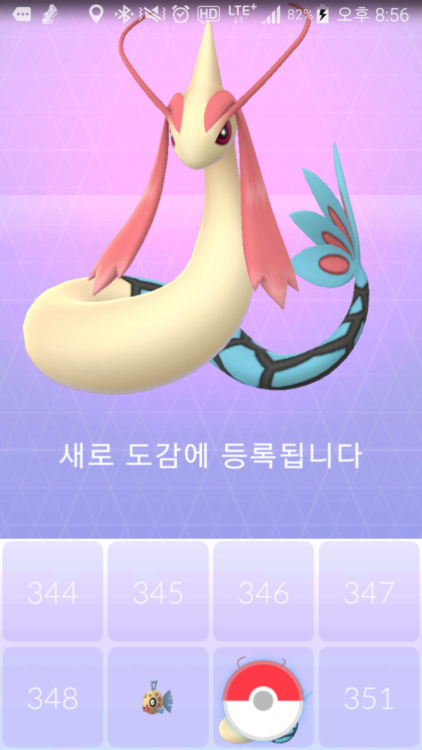 빈티나 진화 성공