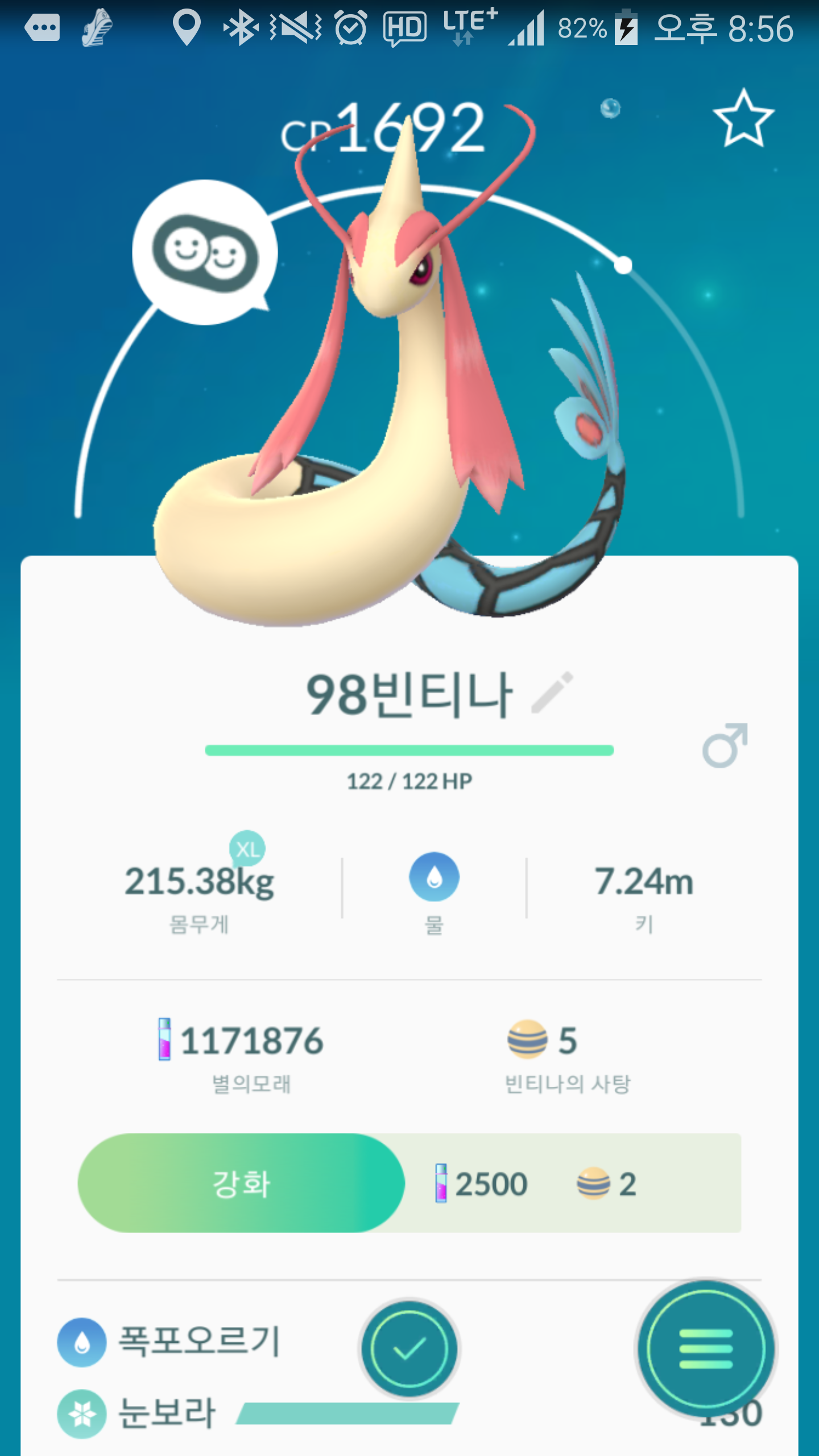 빈티나 진화 성공