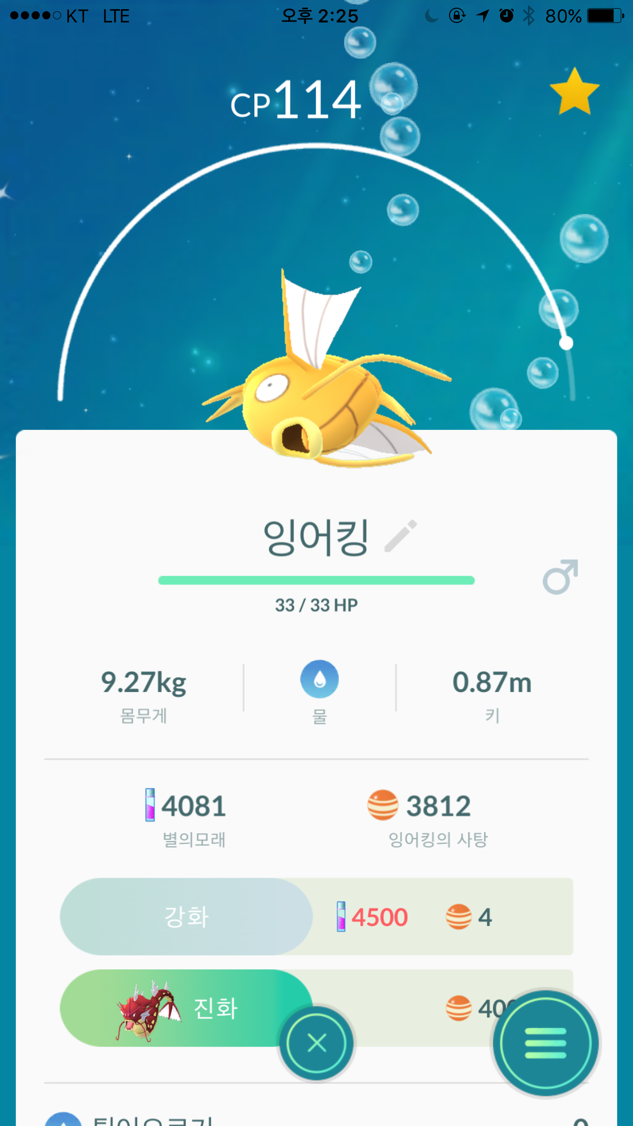 노랑 잉어킹