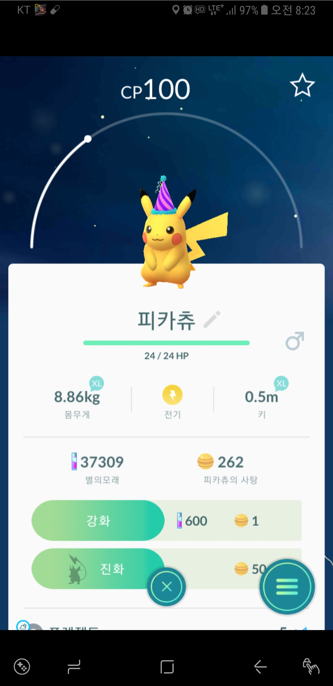 오늘 첫피카츄