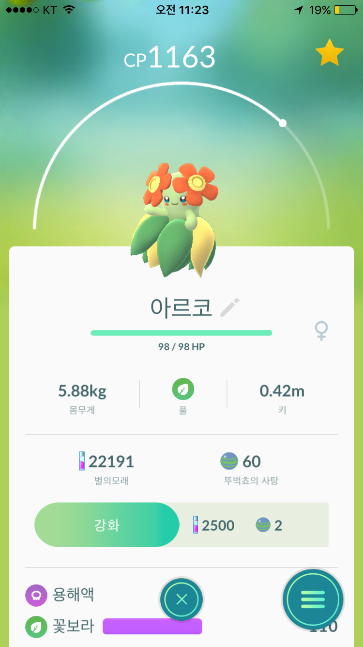 아르코 귀요미이에요!!