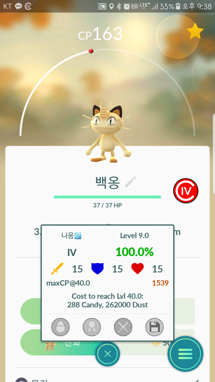 포고플이 잡은 100짜리들 ㅎㅎ
