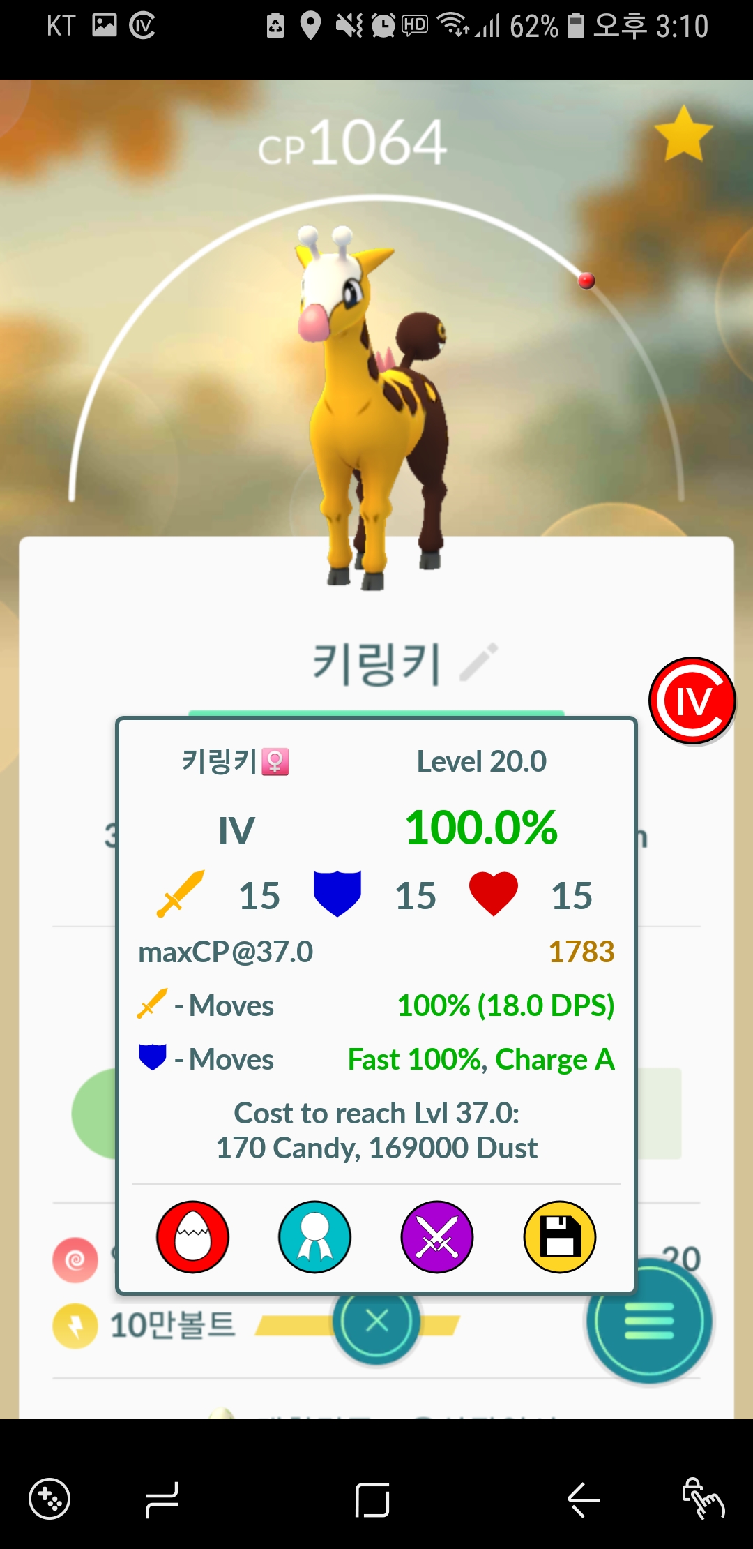 첫번째 알에서나온 100%, 그리고 내 4번째 100% 포켓몬