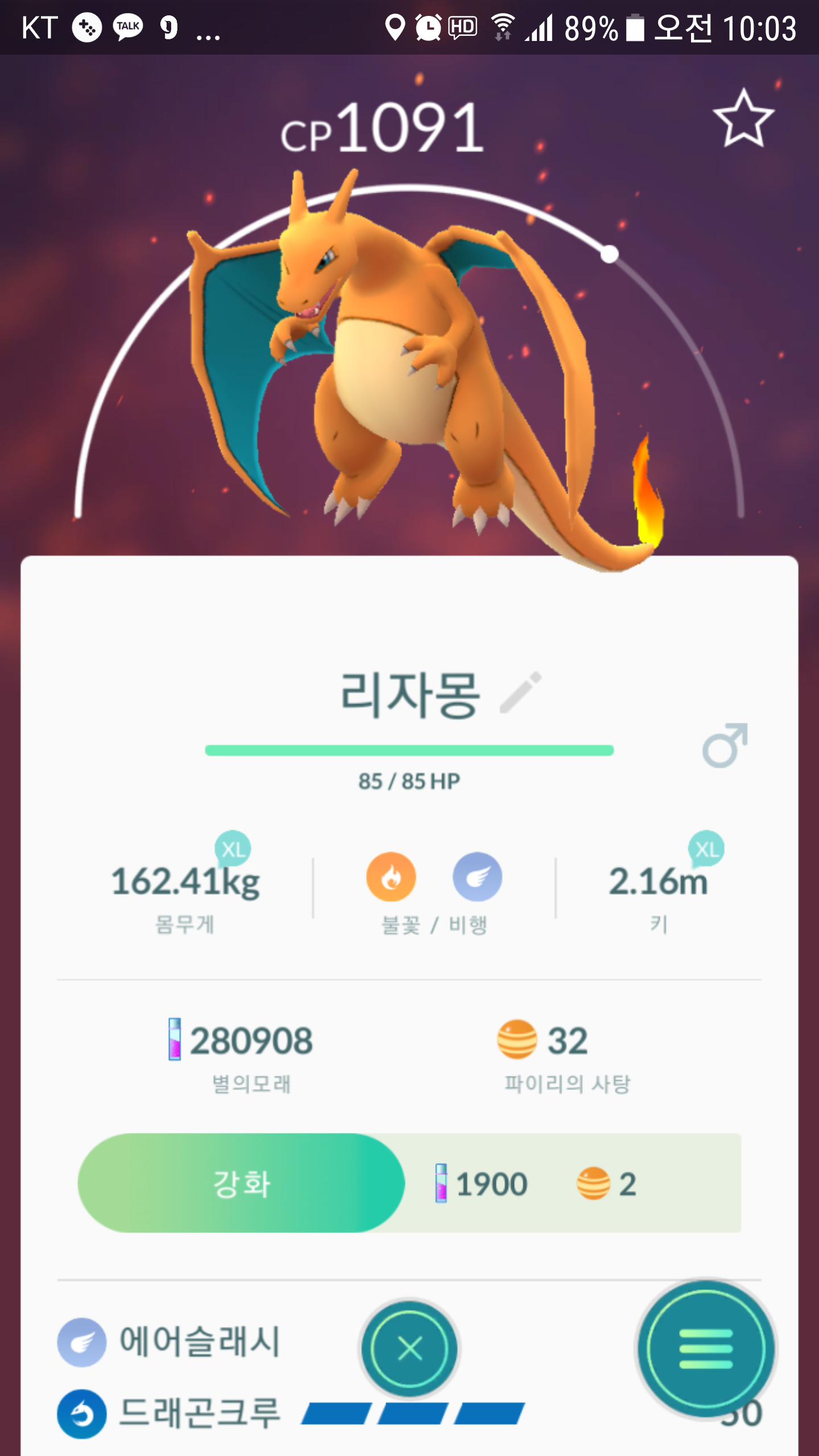 야생리자몽