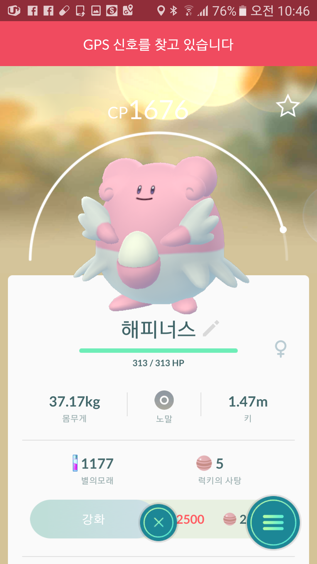 로켓맵덕분에 해피너스 휙득 근데. 야생으로 뜨내요 대구