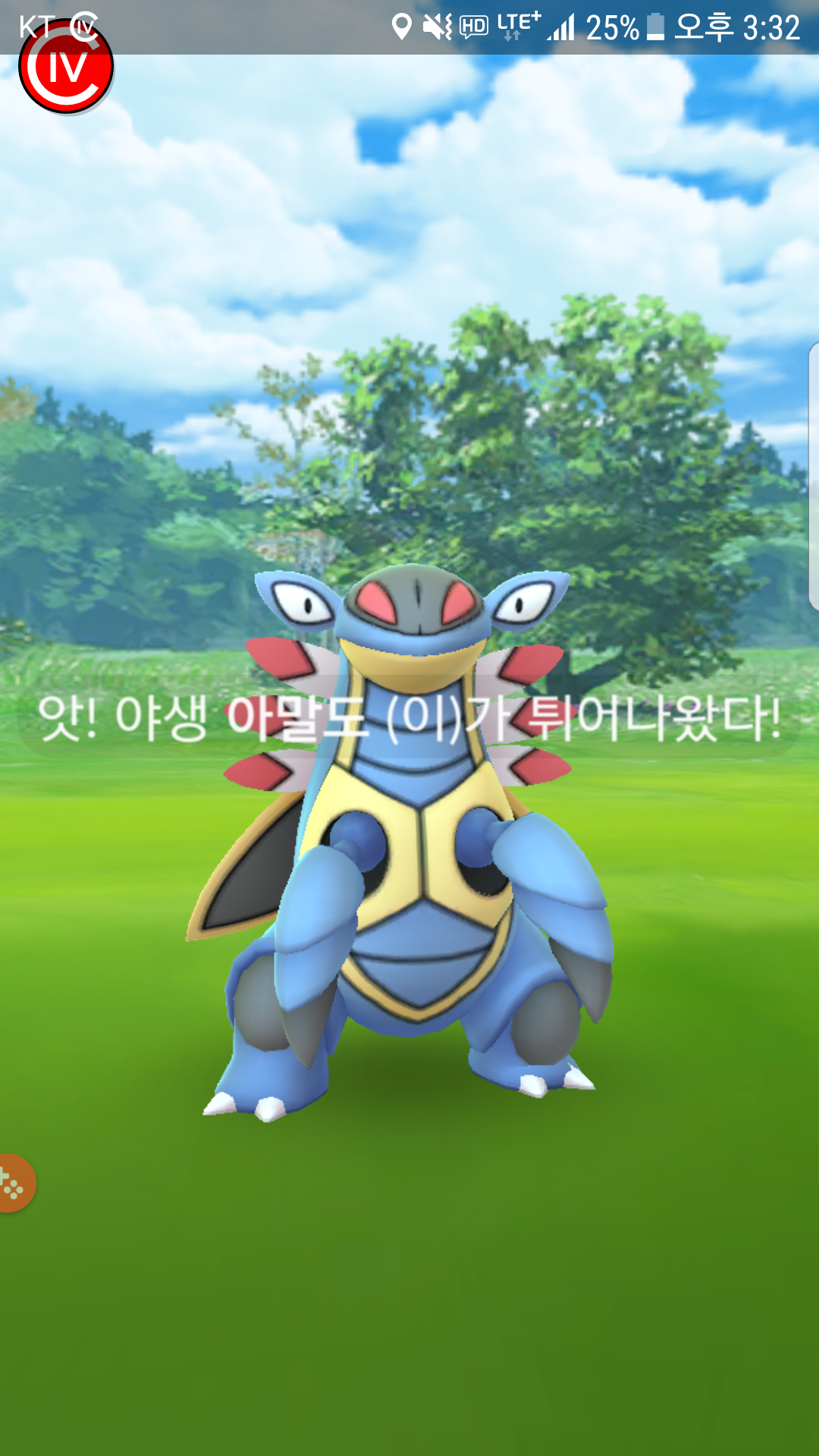 아말도가 야생에서도 나오네요 ㄷㄷ