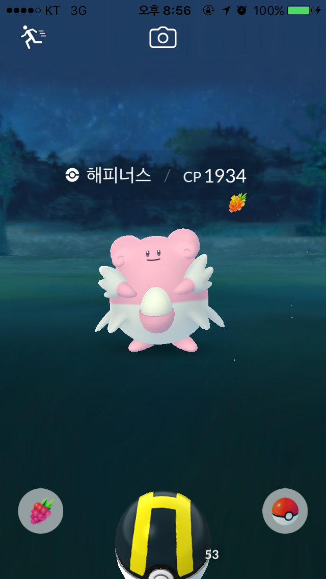 해피해피