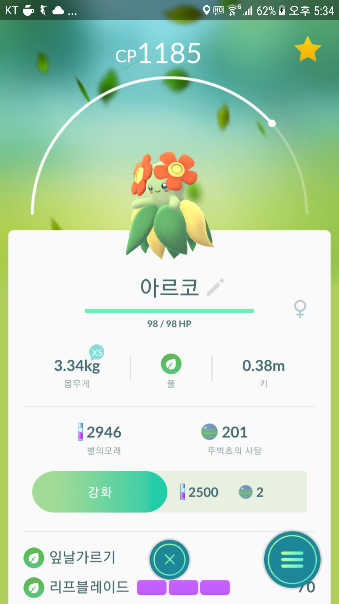내가 가장 아끼는