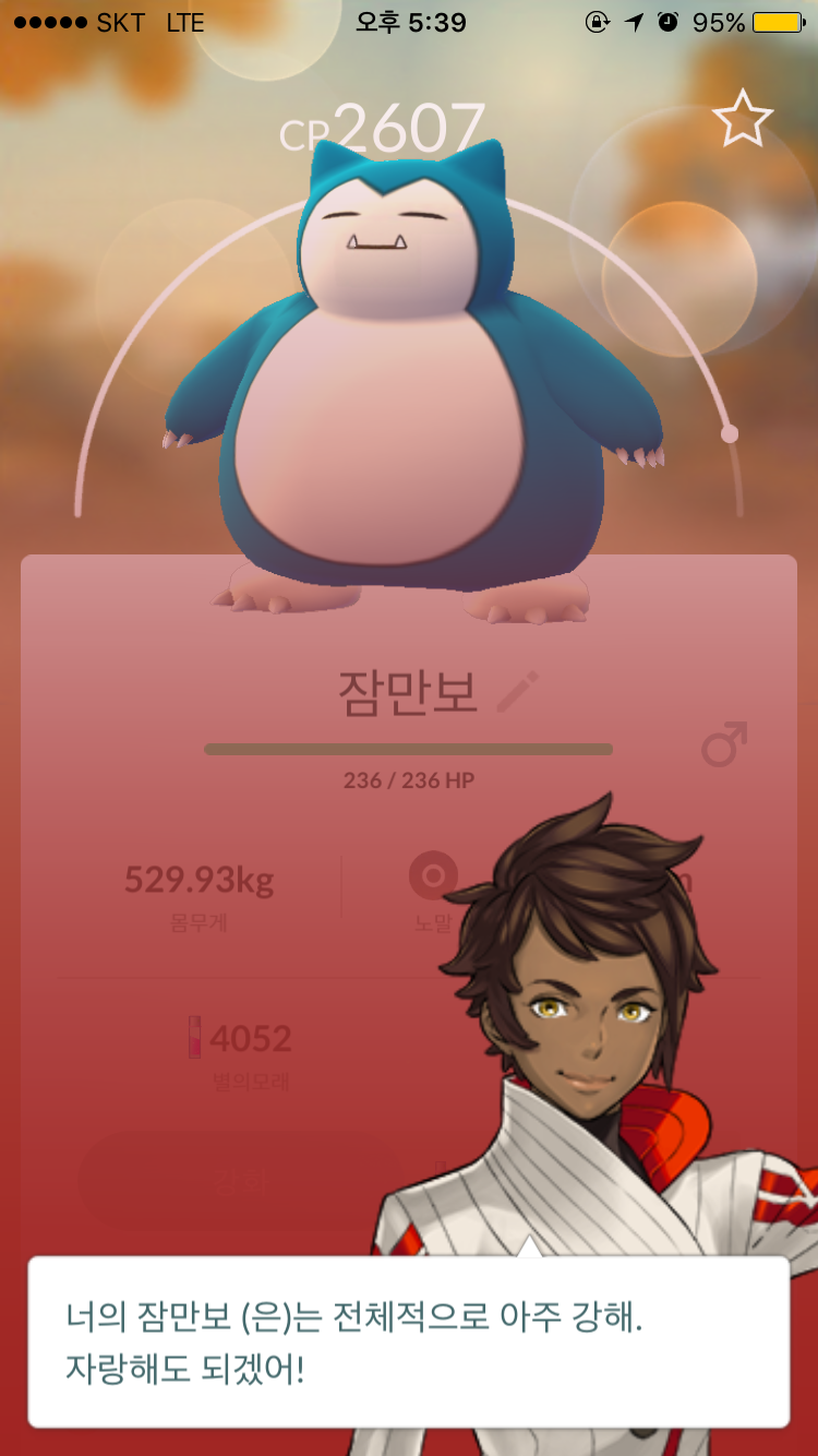 야생에서 주운 잠만보