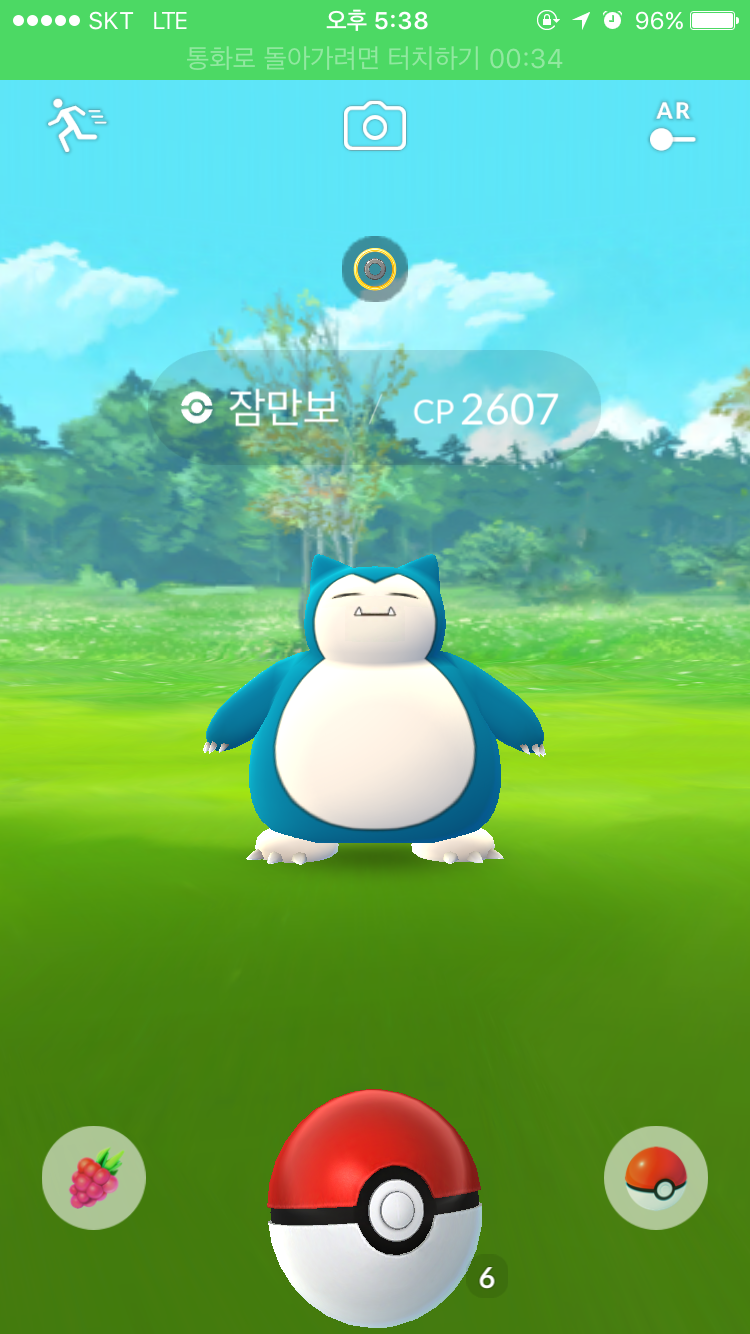 야생에서 주운 잠만보
