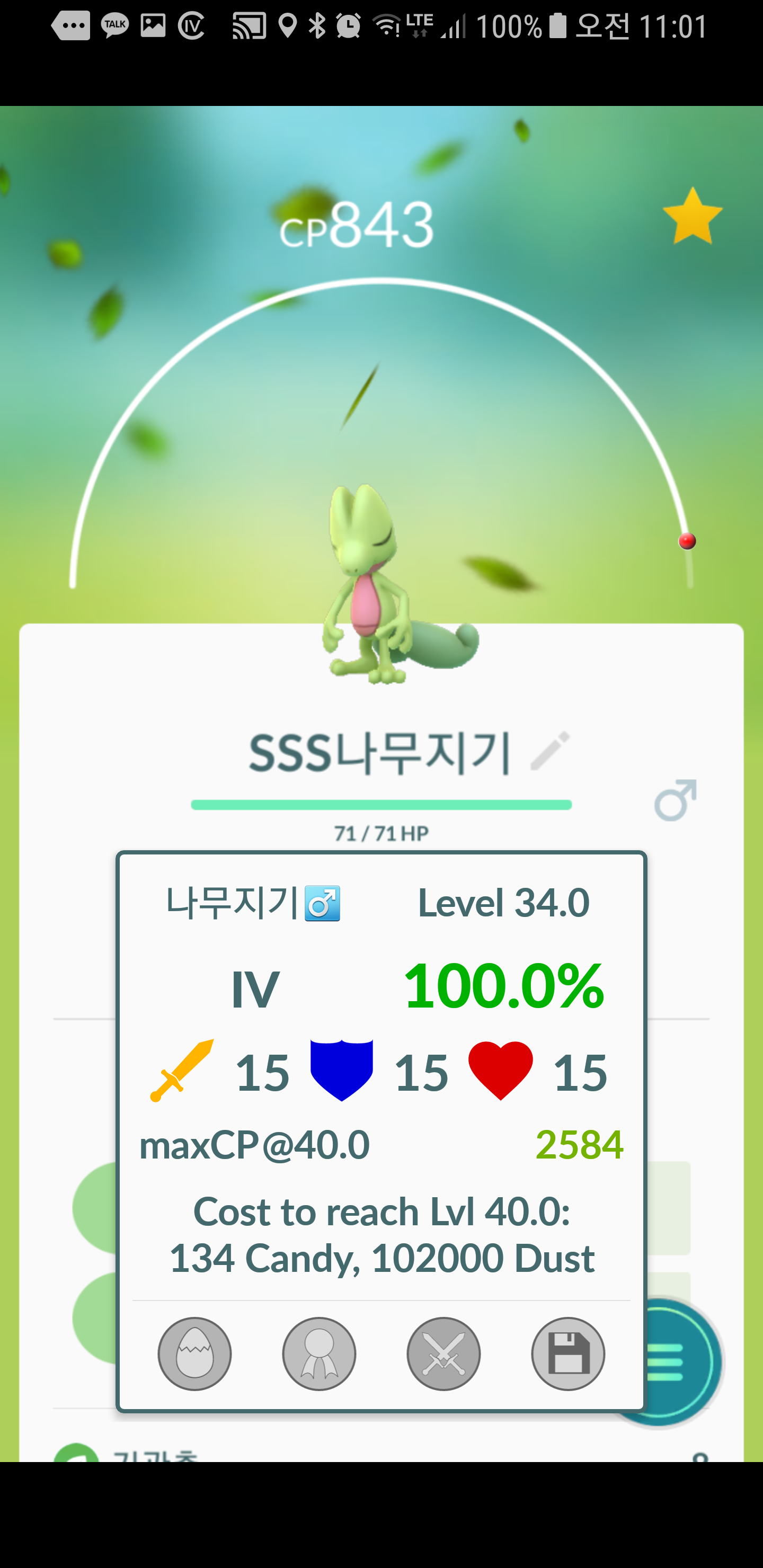 나무지기 "백"