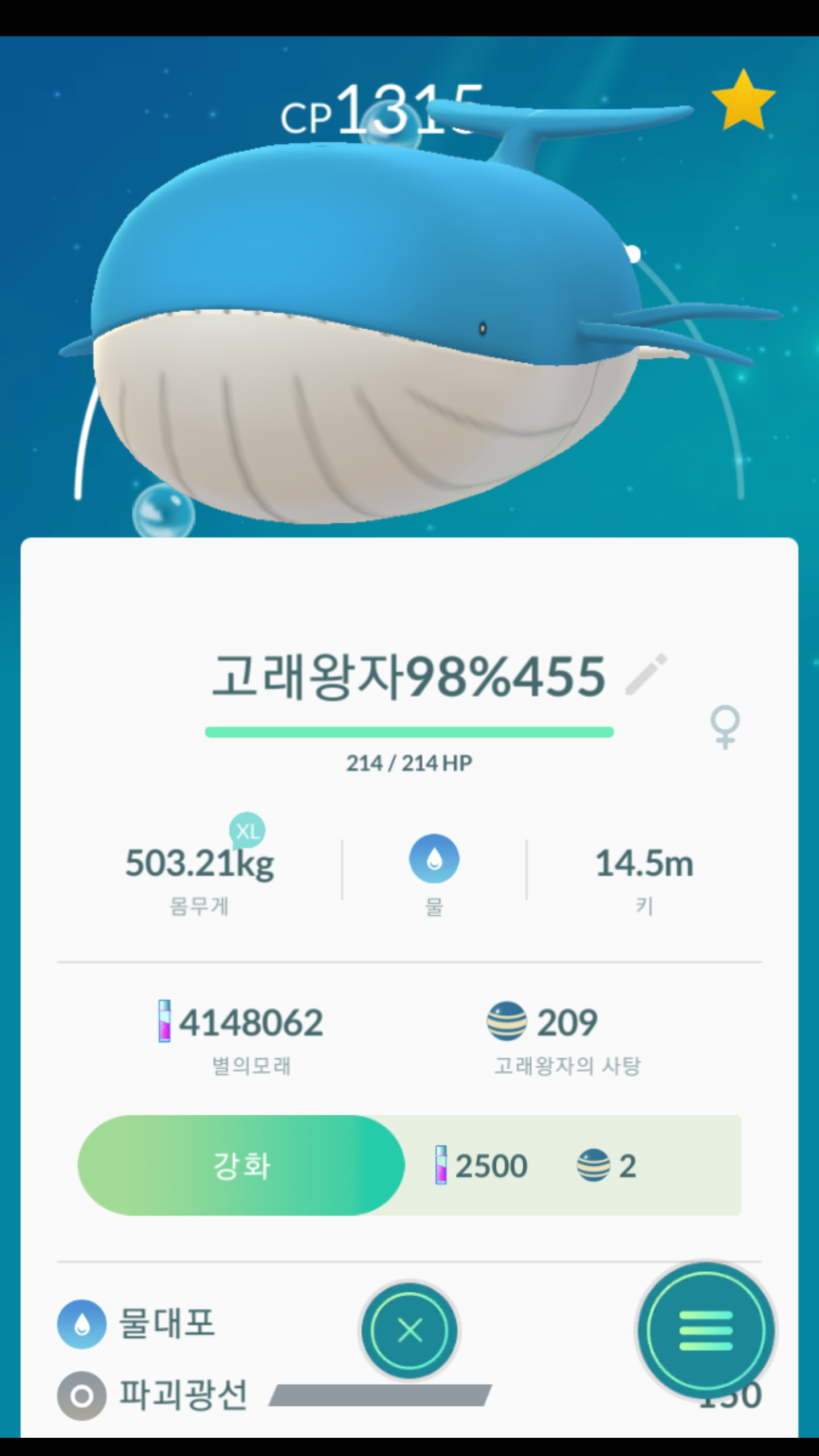 고래왕 두마리