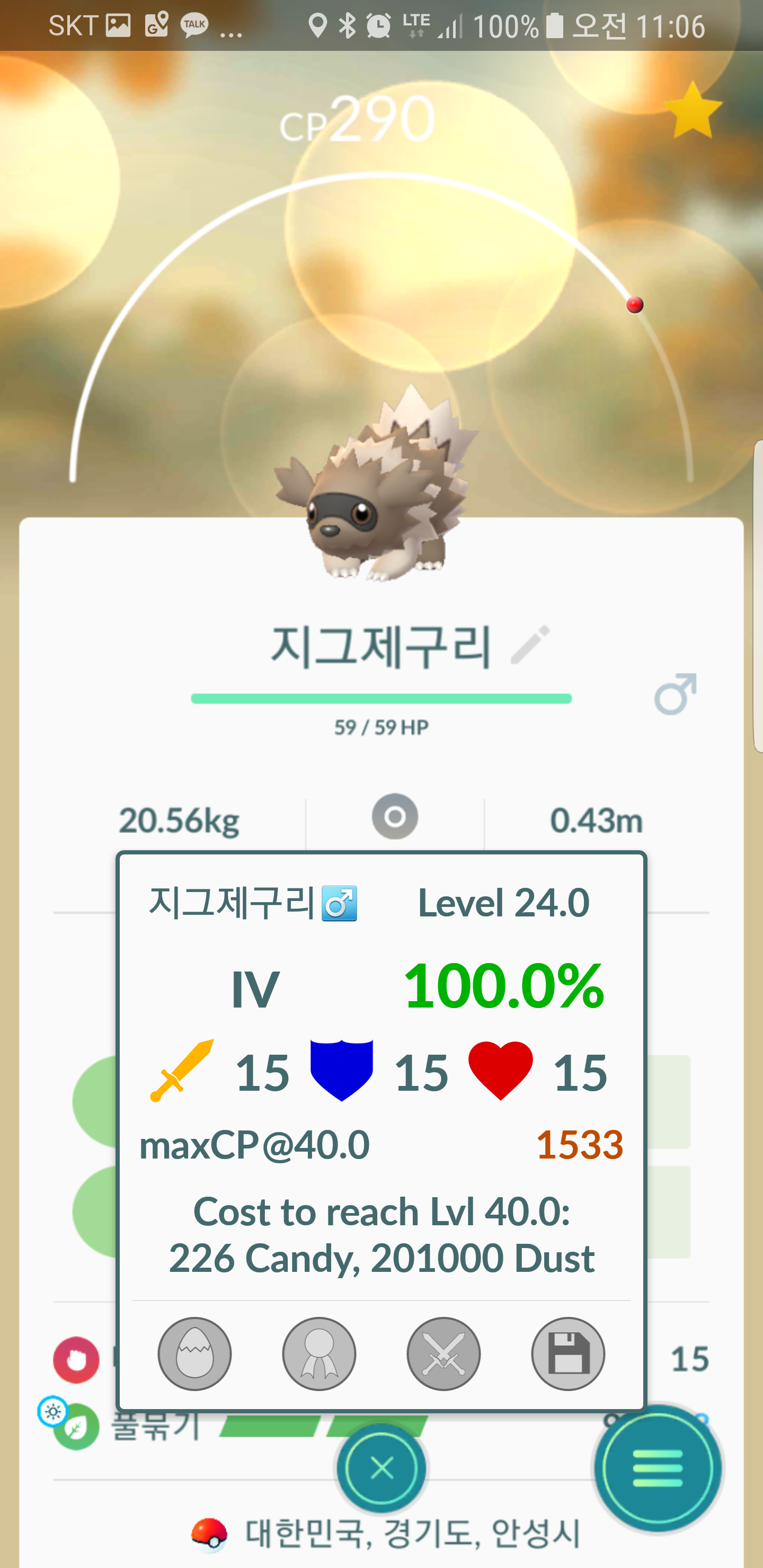어제만 두마리 SSS