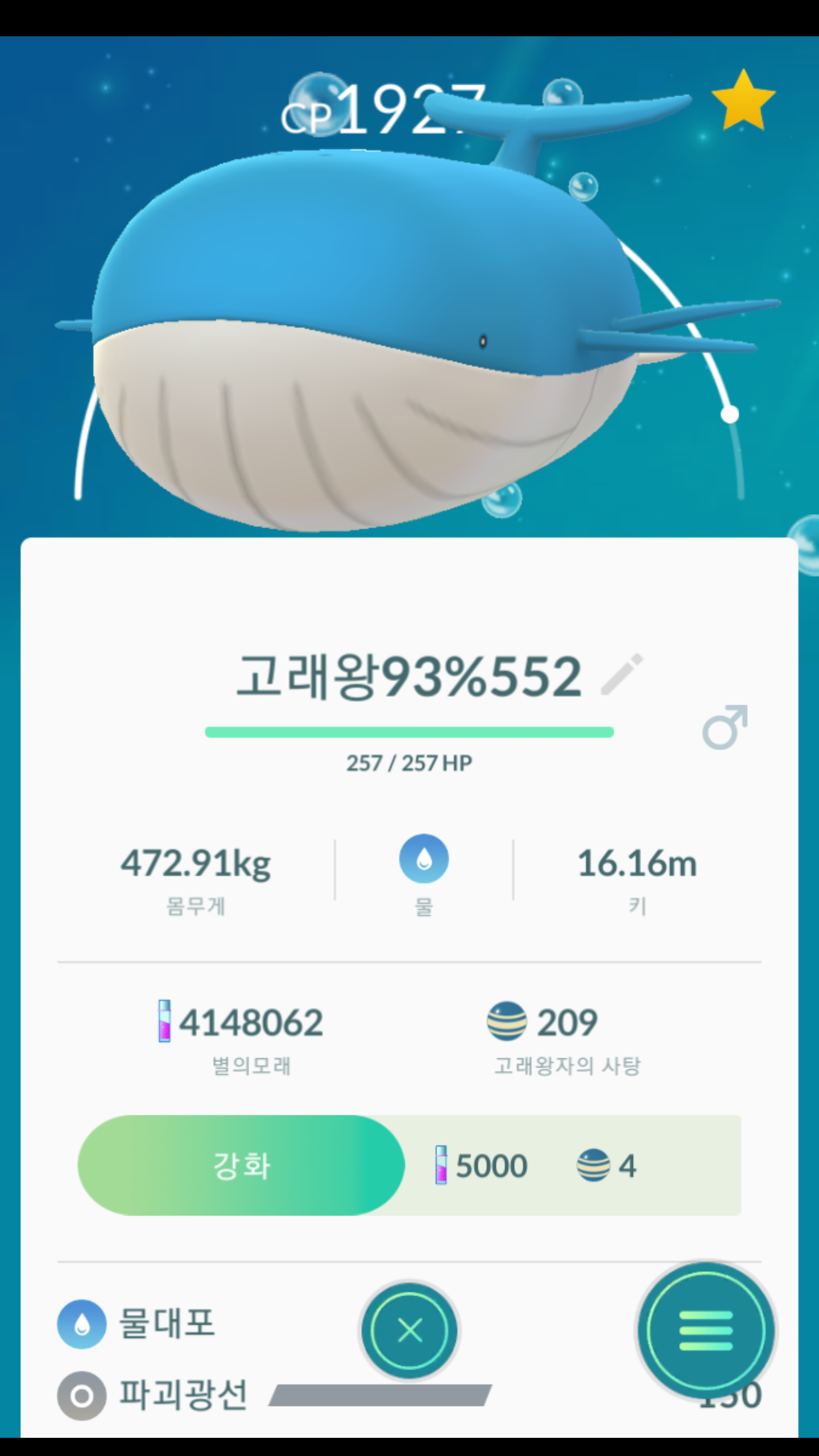 고래왕 두마리